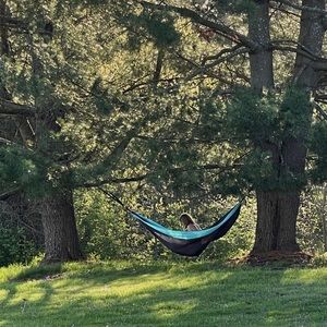 Meet your Posher, Grayce